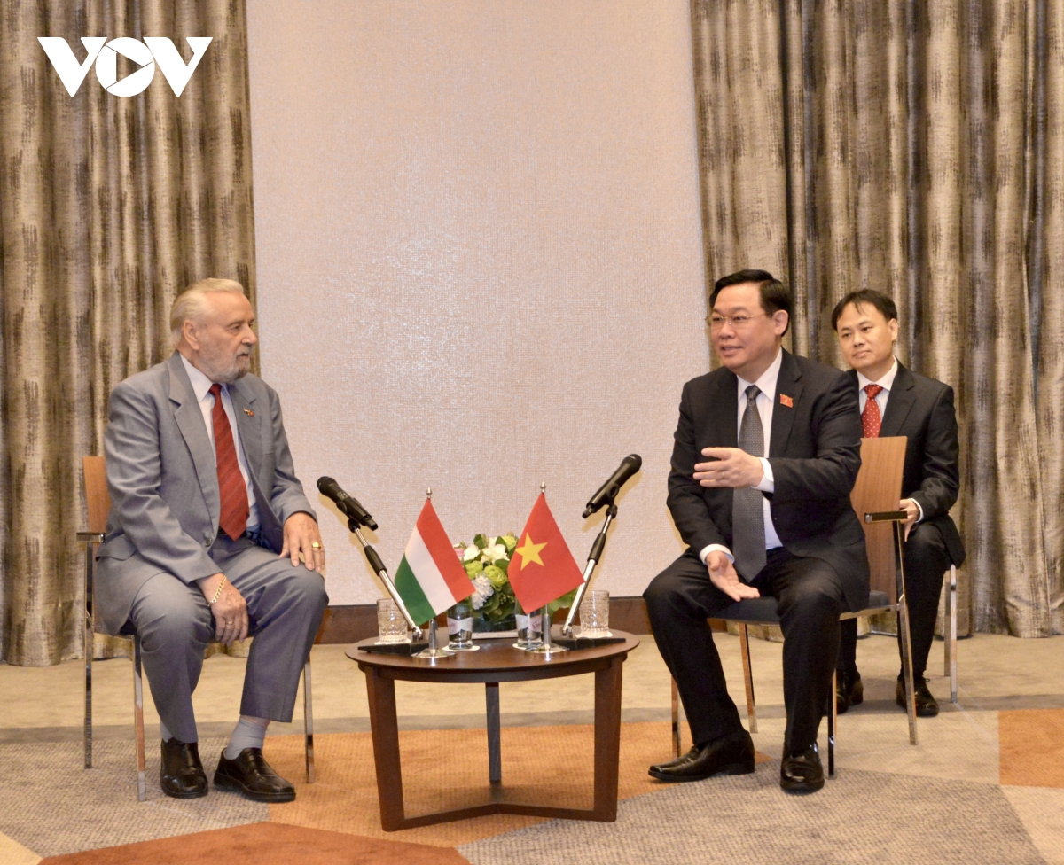 viet nam luon ghi nho, tran trong su giup do va ung ho quy bau cua hungary hinh anh 2