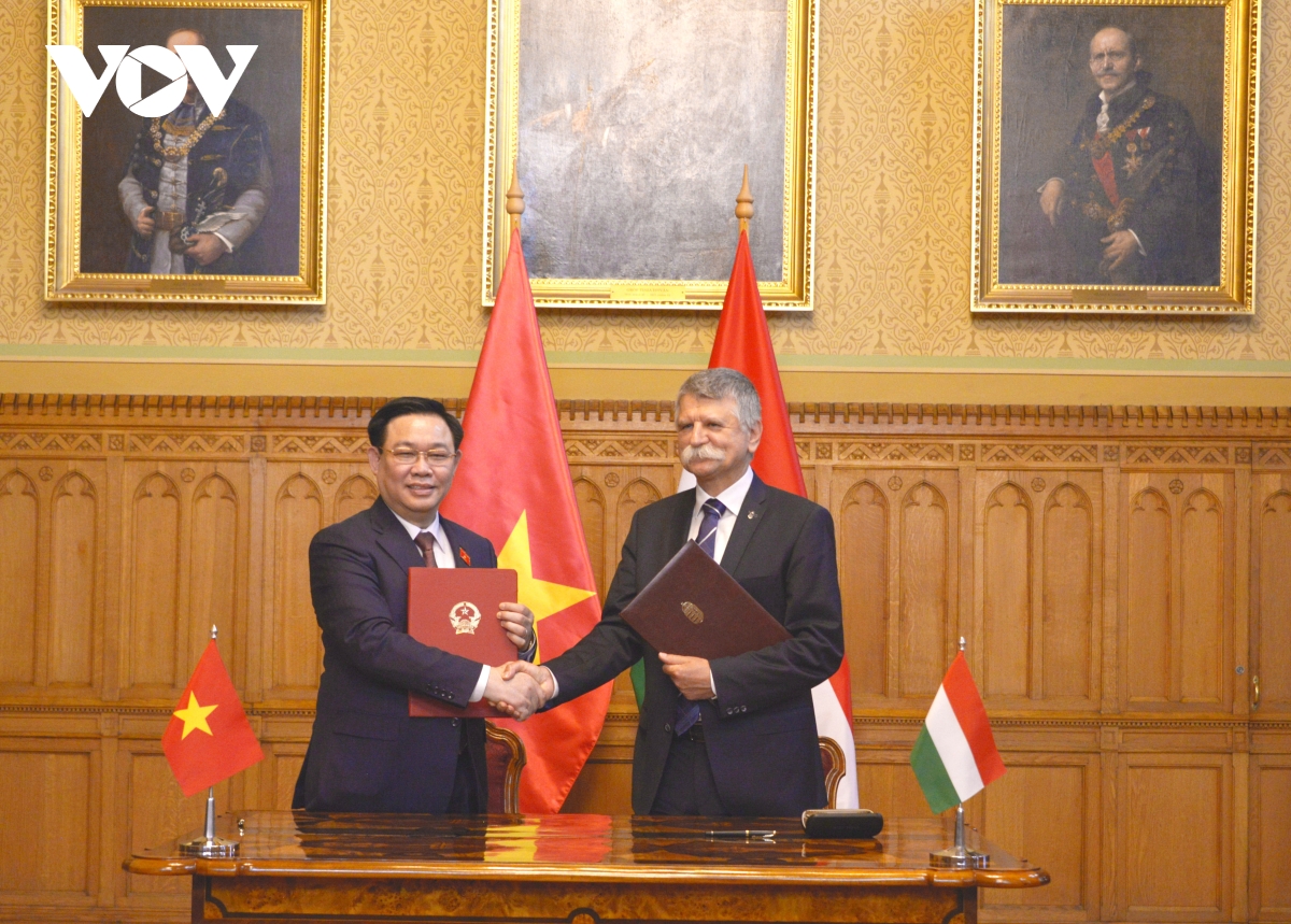 chu tich quoc hoi hungary don, hoi dam voi chu tich quoc hoi vuong Dinh hue hinh anh 5