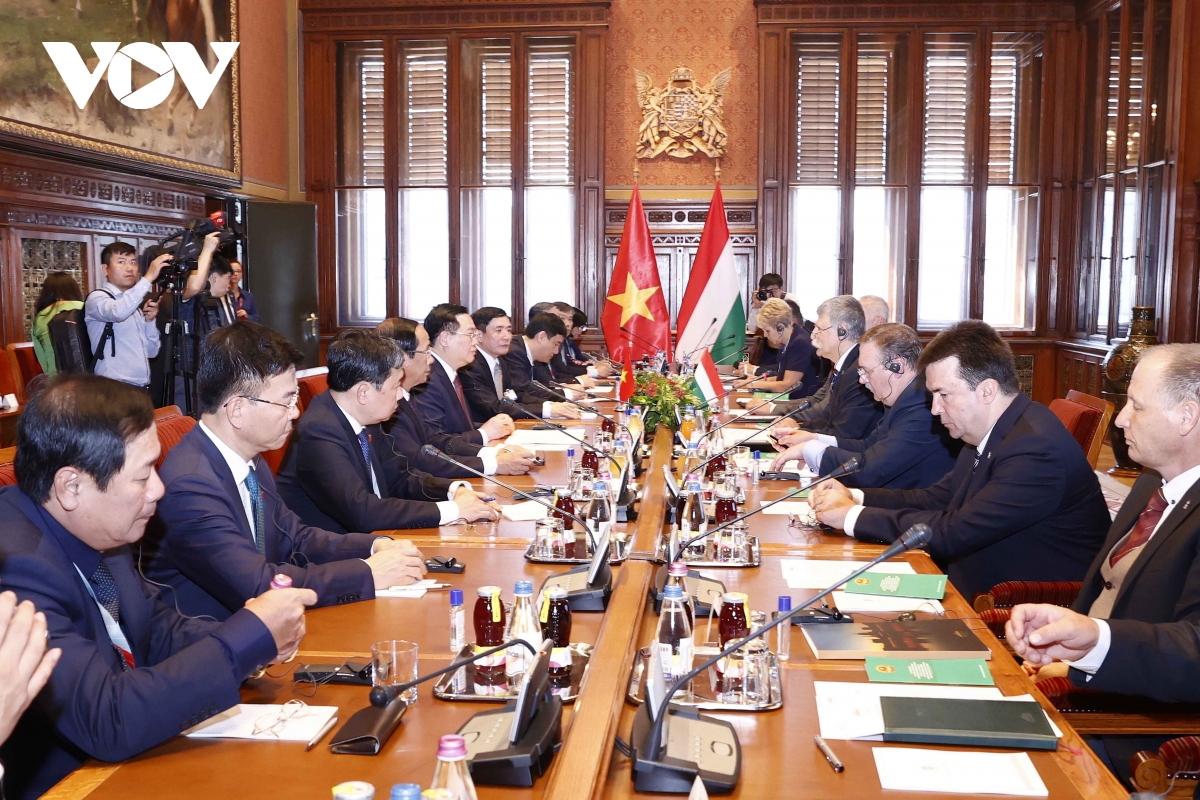 chu tich quoc hoi hungary don, hoi dam voi chu tich quoc hoi vuong Dinh hue hinh anh 1