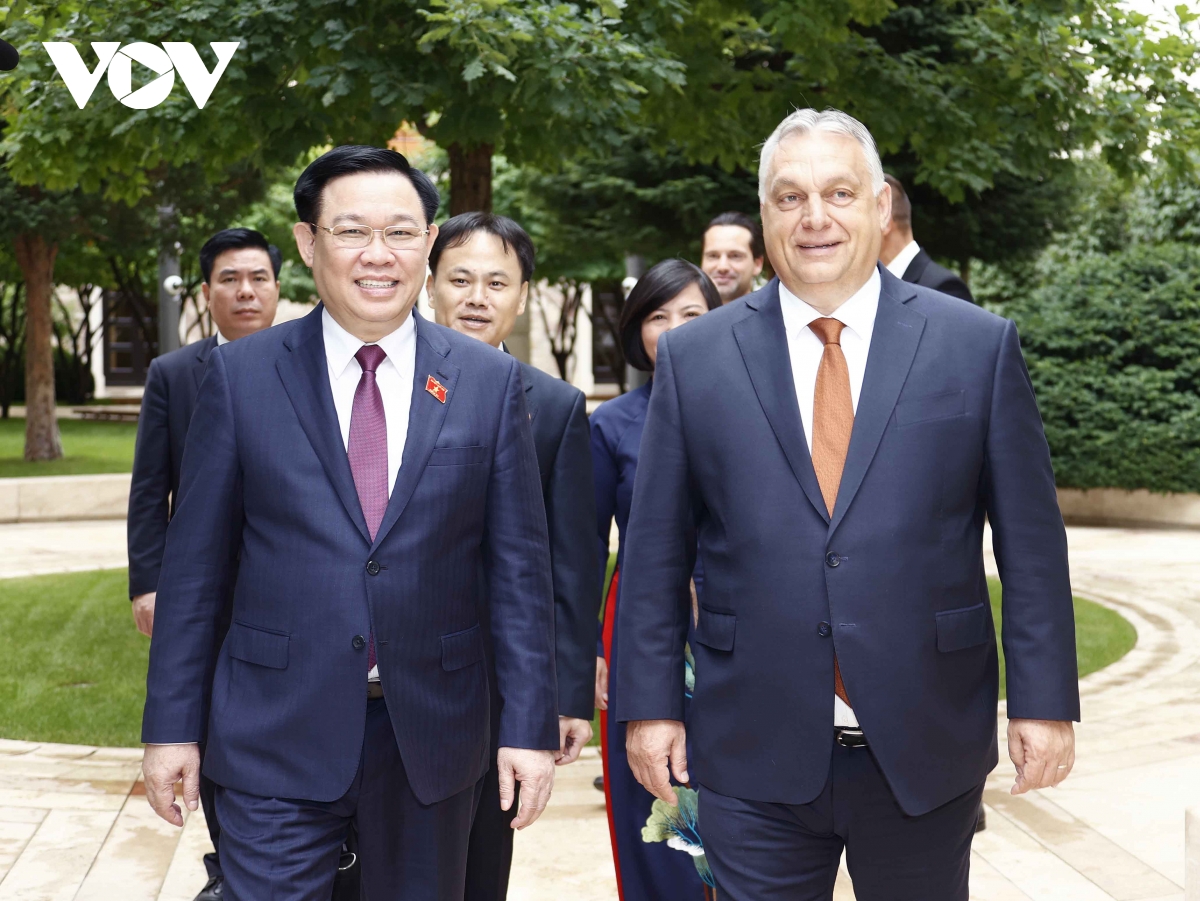 viet nam mong muon dua quan he doi tac voi hungary di vao chieu sau, hieu qua hinh anh 4