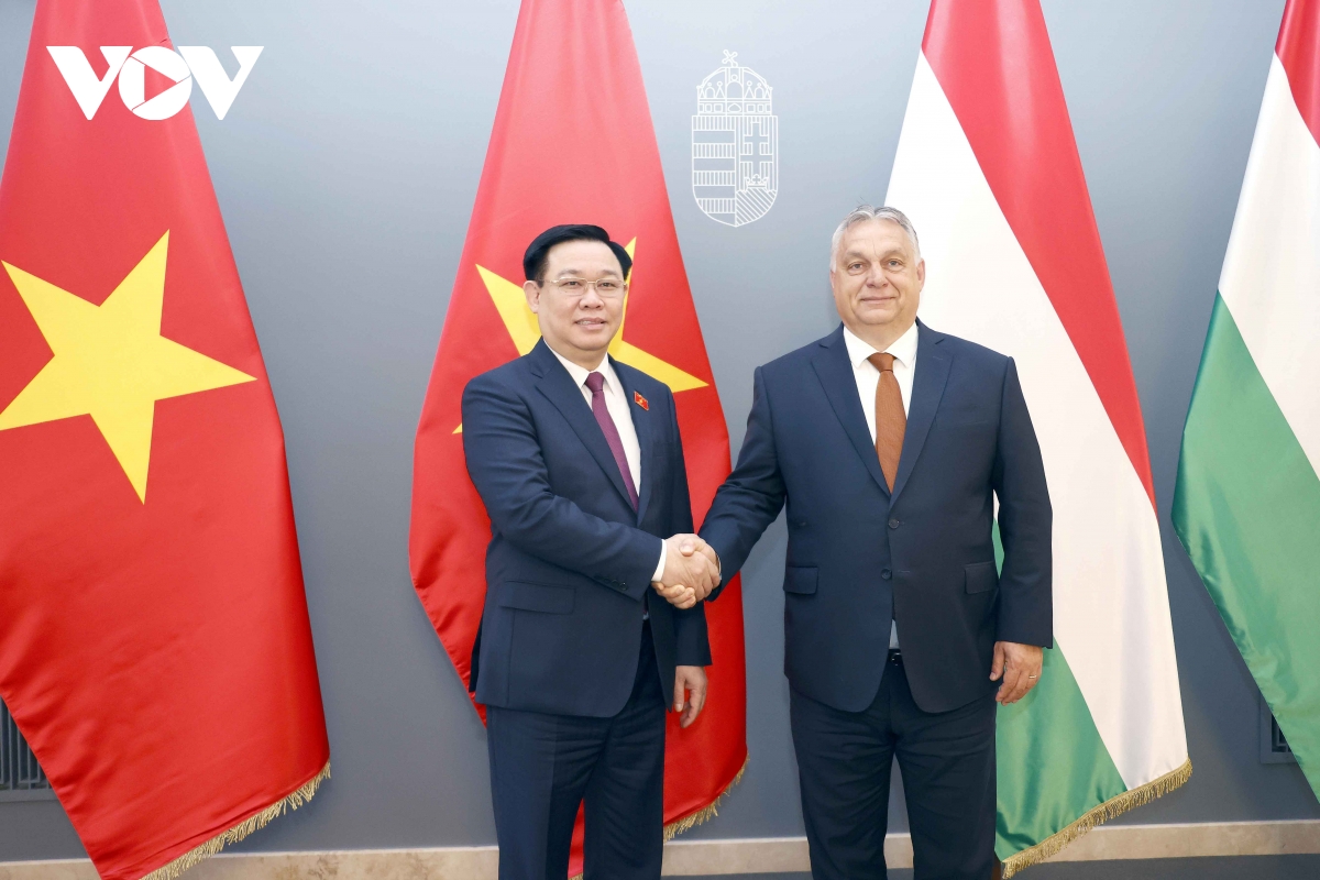 viet nam mong muon dua quan he doi tac voi hungary di vao chieu sau, hieu qua hinh anh 1