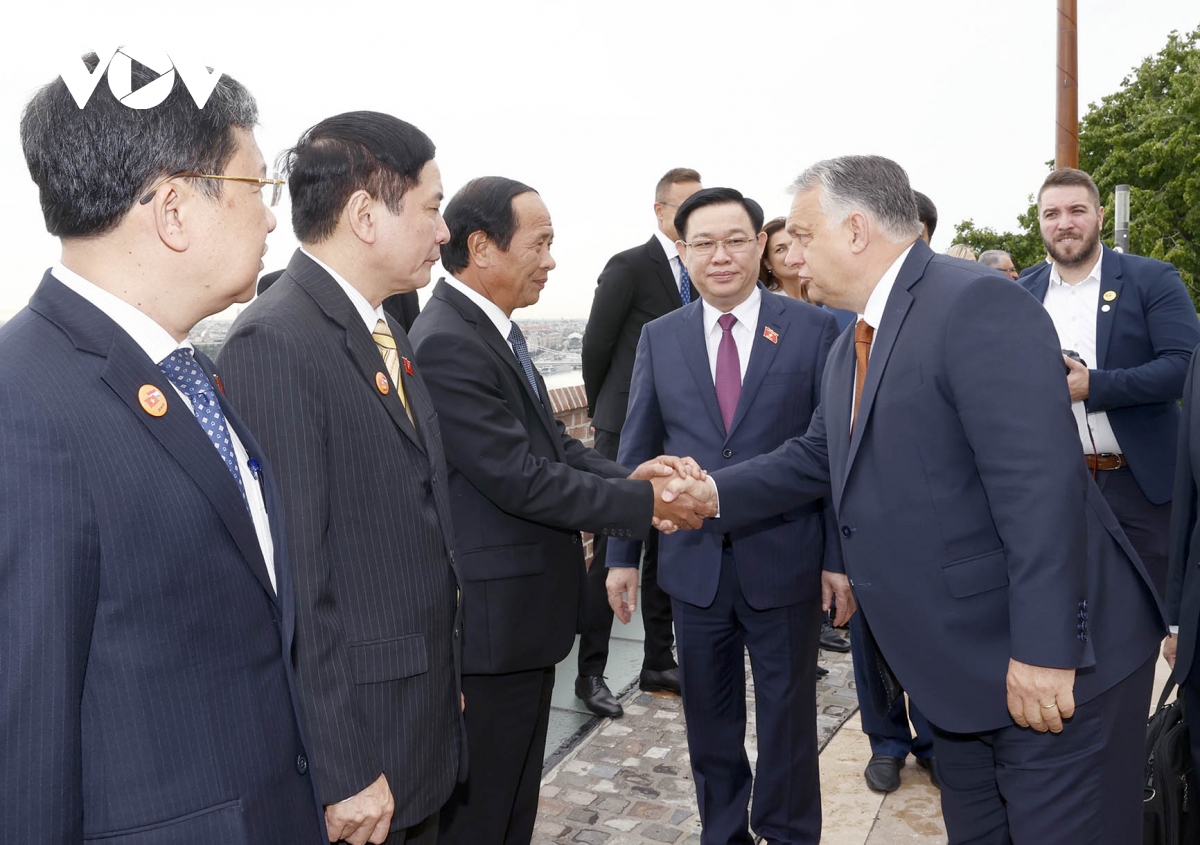 viet nam mong muon dua quan he doi tac voi hungary di vao chieu sau, hieu qua hinh anh 3