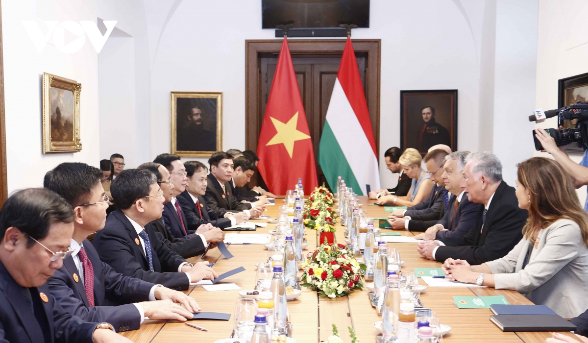 viet nam mong muon dua quan he doi tac voi hungary di vao chieu sau, hieu qua hinh anh 2