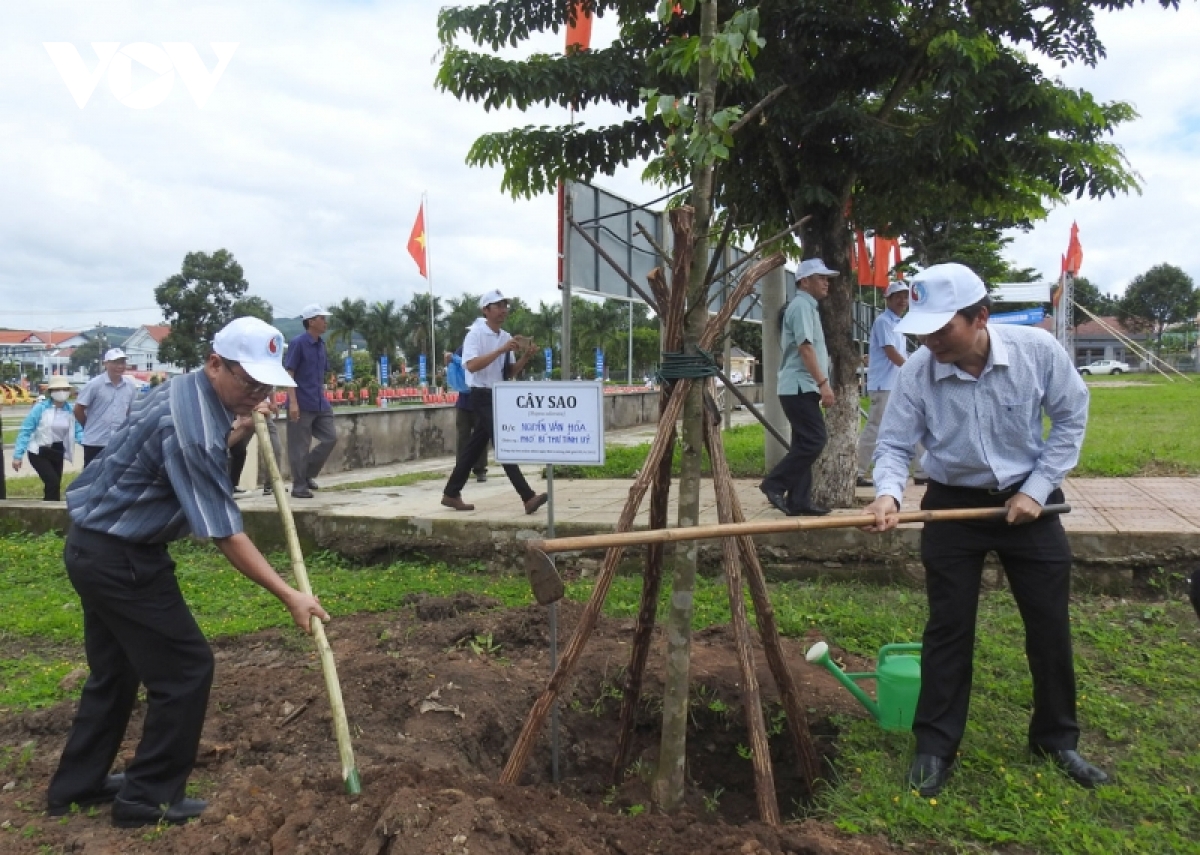Kon Tum phát động Tết trồng cây và triển khai trồng 4.500ha rừng
