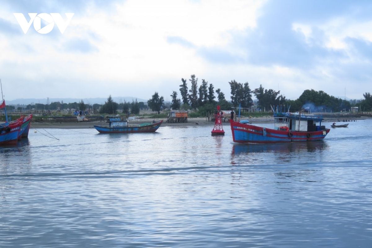 cong dong tich cuc bao ve nguon loi thuy san, chong khai thac bat hop phap hinh anh 2