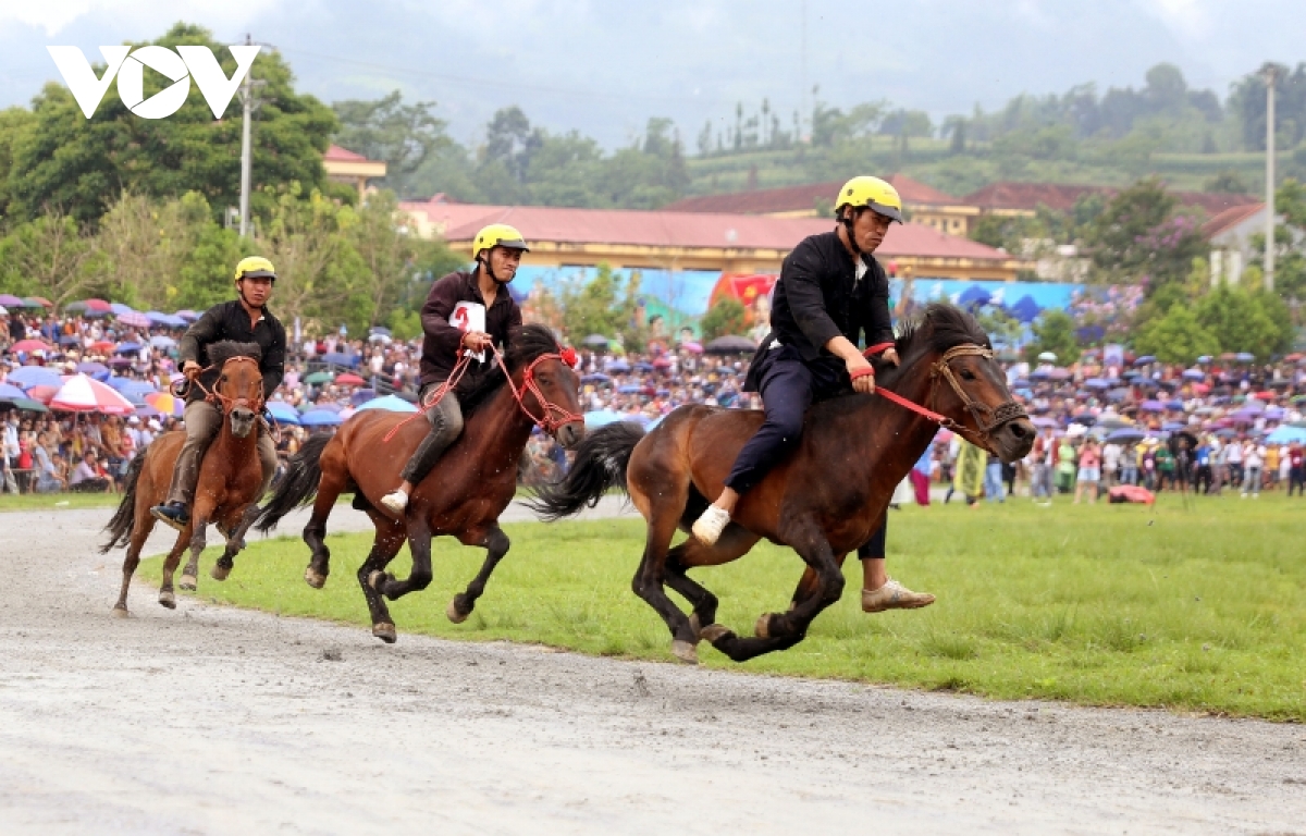 kich tinh vong chung ket giai dua ngua truyen thong bac ha lan thu xv hinh anh 3