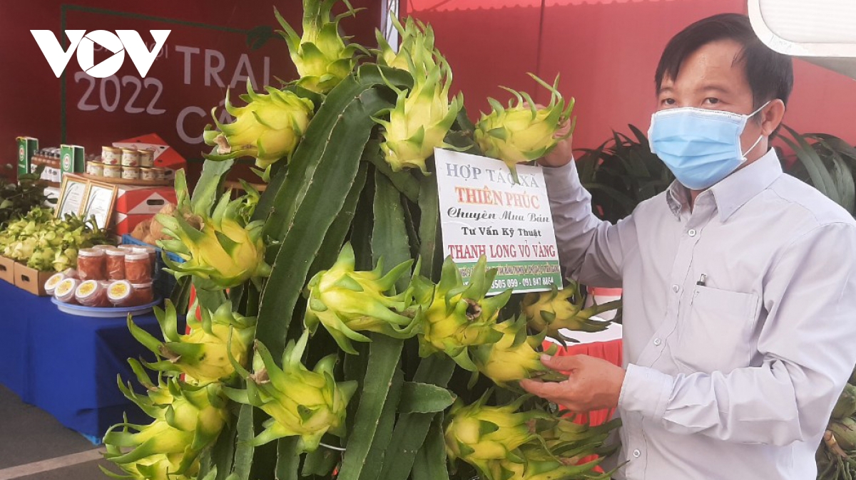 thanh long vo vang ruot trang gia cao, nha vuon nhan rong hinh anh 1