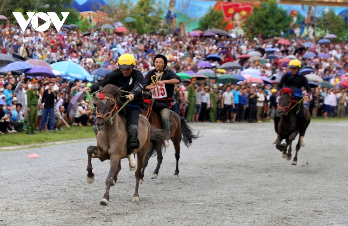 kich tinh vong chung ket giai dua ngua truyen thong bac ha lan thu xv hinh anh 4