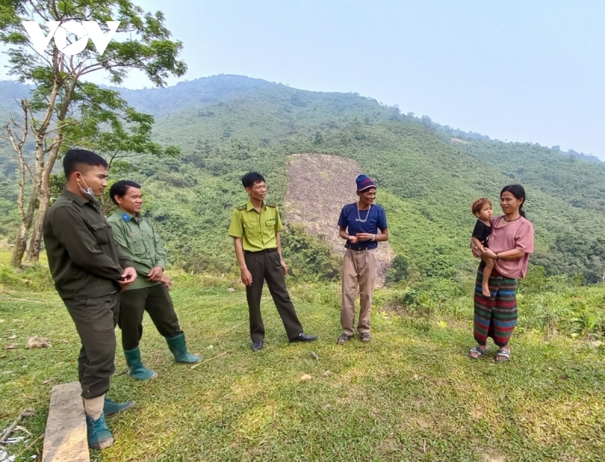nang nong gay gat, quang tri cang thang phong chong chay rung hinh anh 2
