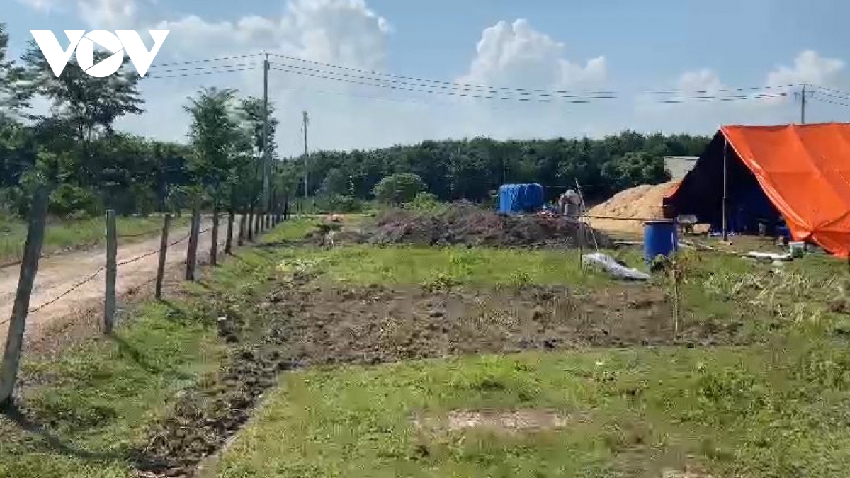 nguoi dan ong o binh phuoc tu vong ben hang rao thep gai co dien hinh anh 1