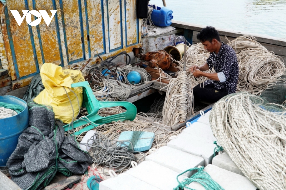 gia xang dau tang cao, thuy san gia thap ngu dan ngai ra khoi hinh anh 3