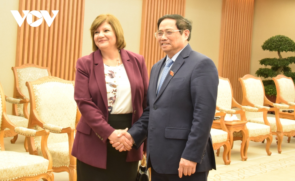 thu tuong pham minh chinh tiep Dai su ai cap amal abdel kader elmorsi salama hinh anh 1