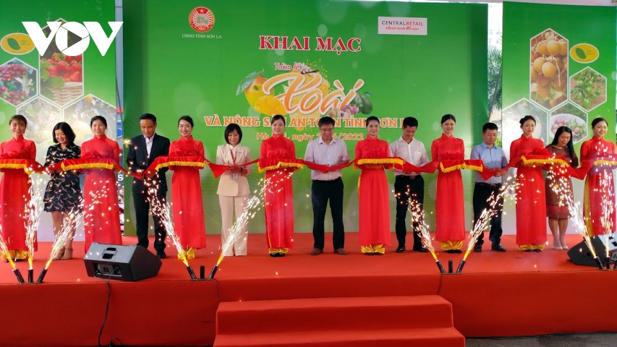 son la gioi thieu 24 gian hang xoai va nong san an toan tai ha noi hinh anh 1