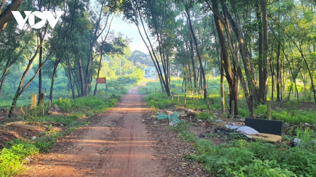 du an giua long do thi binh duong sau 15 nam van nam... tren giay hinh anh 1