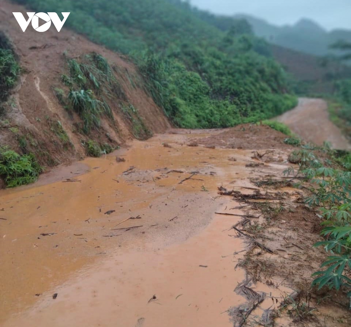 yen bai ghi nhan nhieu thiet hai do mua lon hinh anh 1