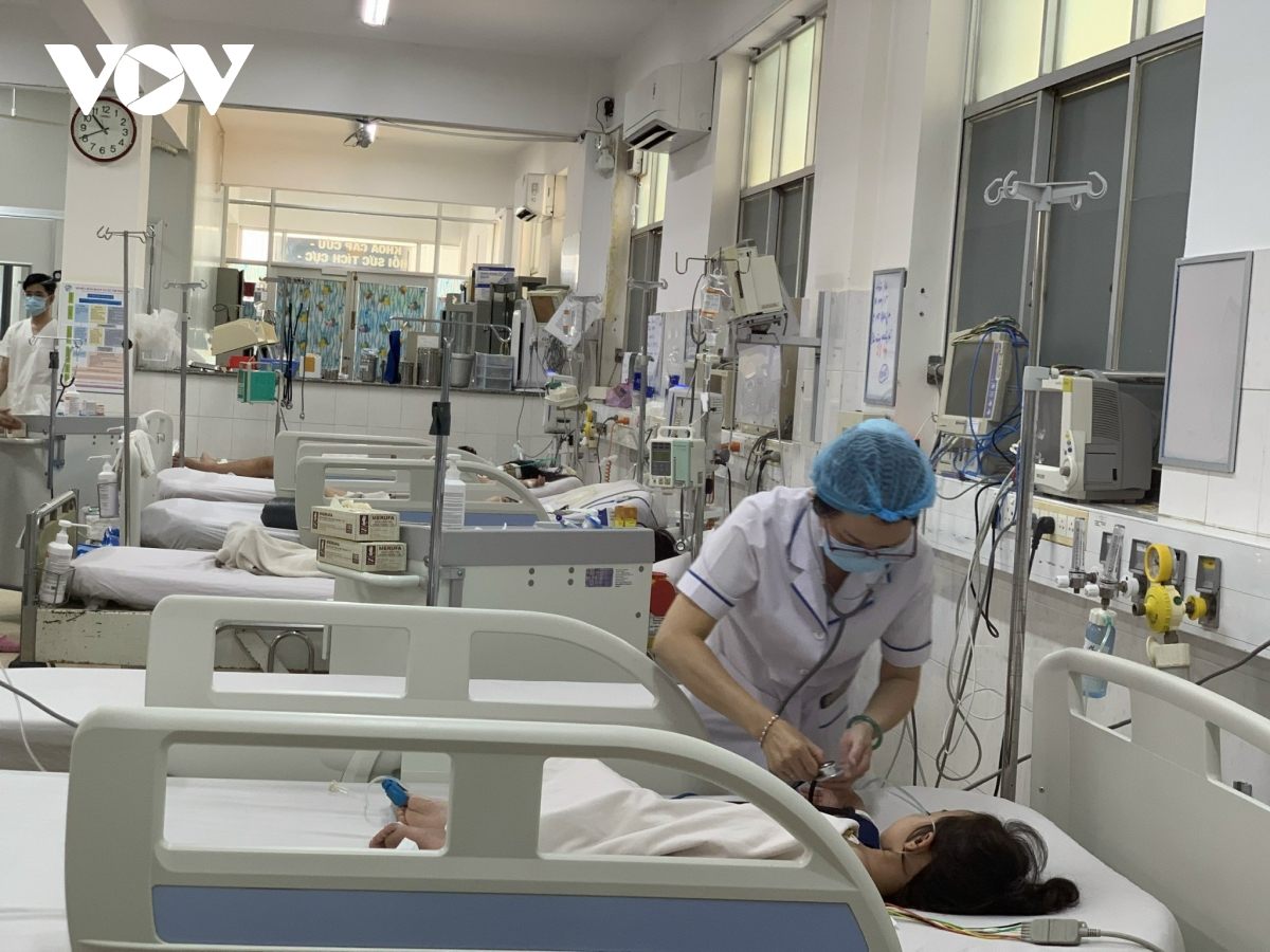 tp.hcm them 1 benh nhan tu vong vi sot xuat huyet, benh vien keu qua tai hinh anh 1