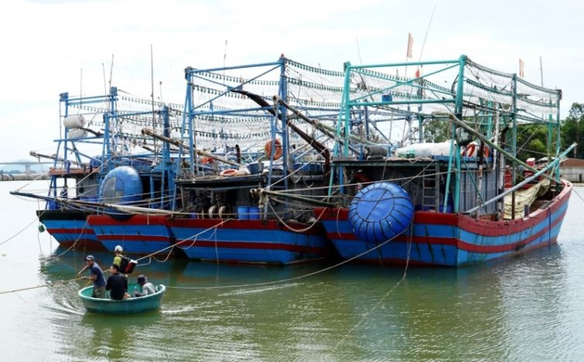 gia xang dau tang cao, thuy san gia thap ngu dan ngai ra khoi hinh anh 2