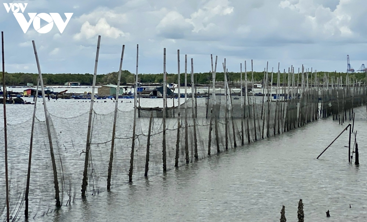 ba ria - vung tau yeu cau nguoi dan cham dut nuoi thuy san ngoai vung quy hoach hinh anh 1