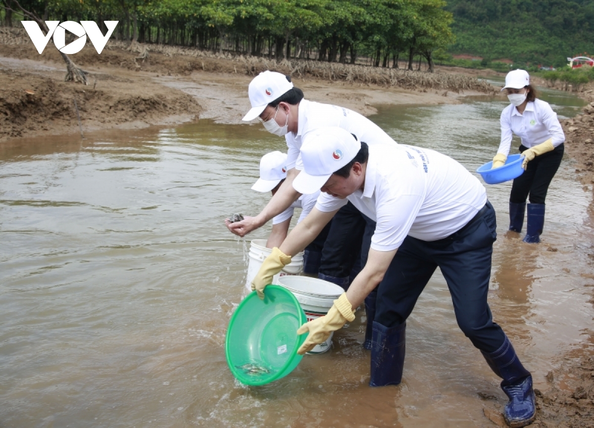 bao ve rung ngap man tu y thuc cong dong hinh anh 4