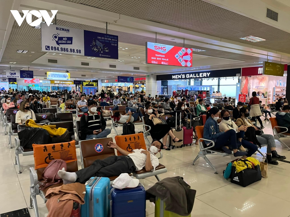 cham, huy chuyen bay gia tang dip he, bo gtvt yeu cau chan chinh hinh anh 1