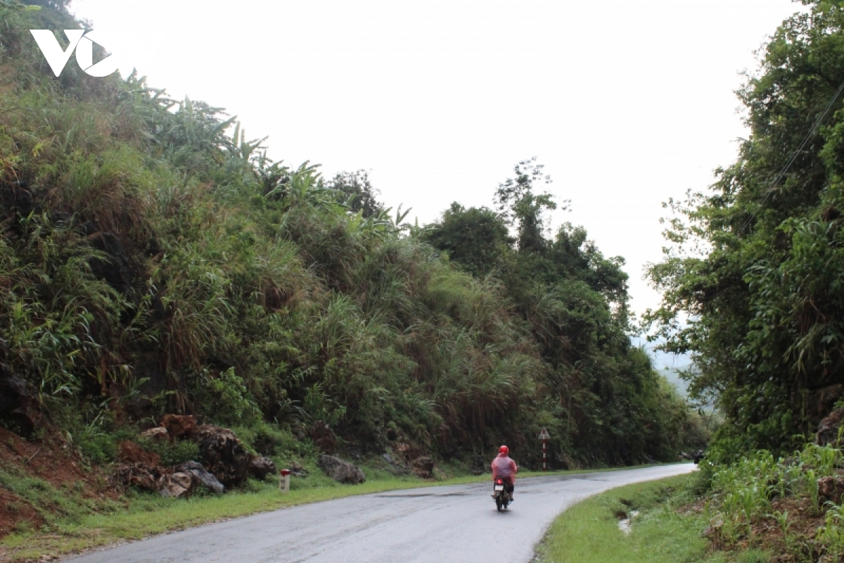 son la dam bao an toan giao thong trong mua mua bao hinh anh 1