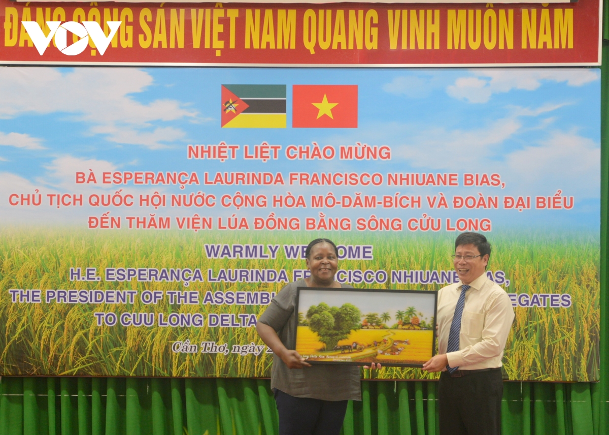 chu tich quoc hoi mozambique tham vien lua Dong bang song cuu long hinh anh 2