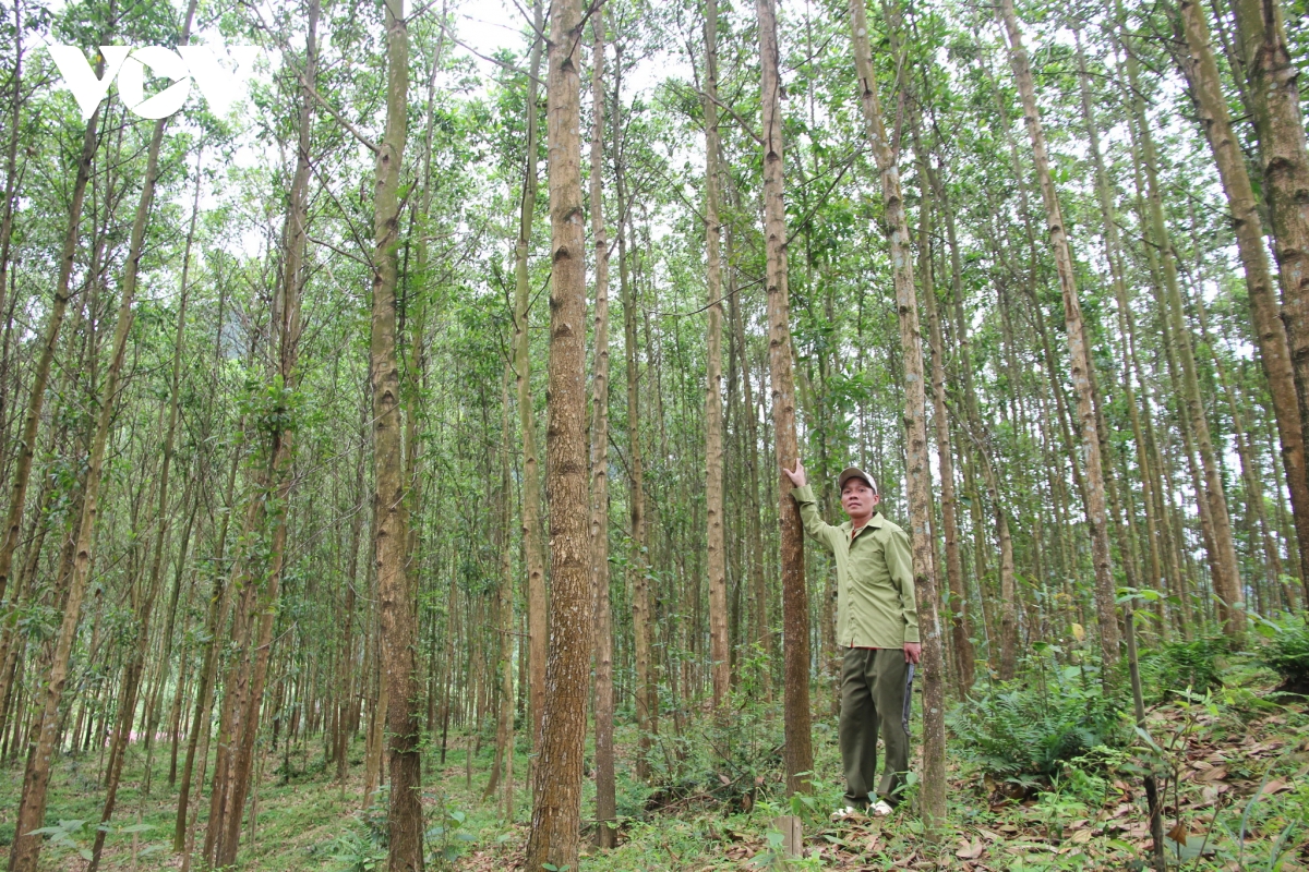 xin ra khoi ho ngheo, Dang vien thap lua y chi vuot kho hinh anh 4