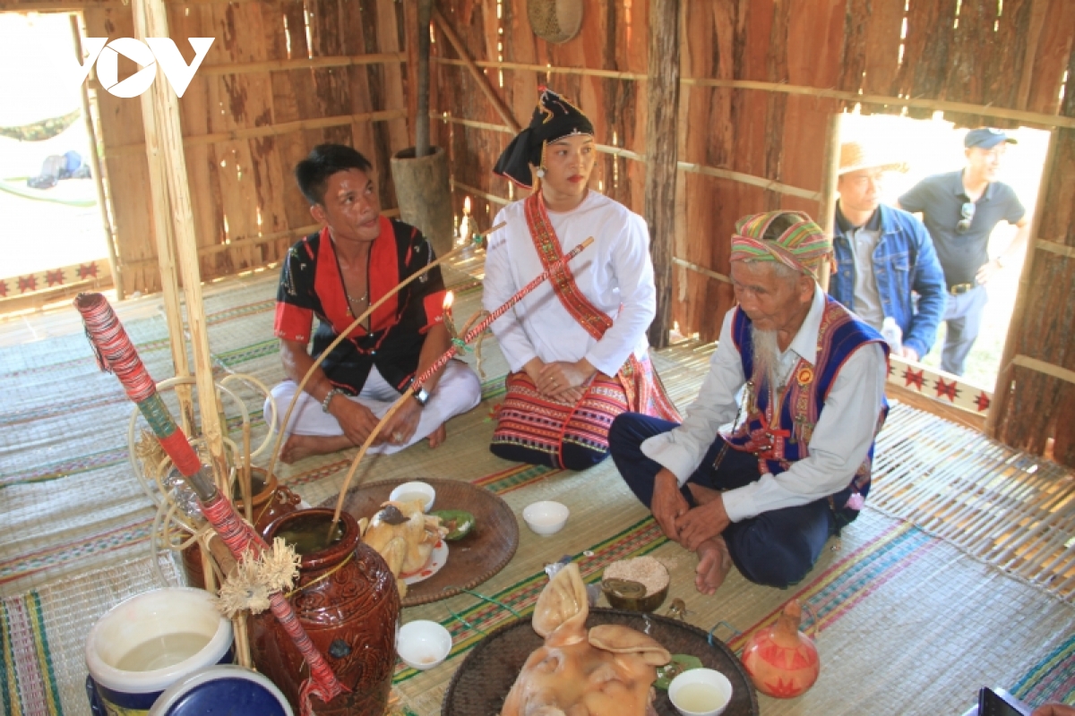 giu gin net dep van hoa truyen thong cua dong bao dan toc thieu so tai binh Dinh hinh anh 1