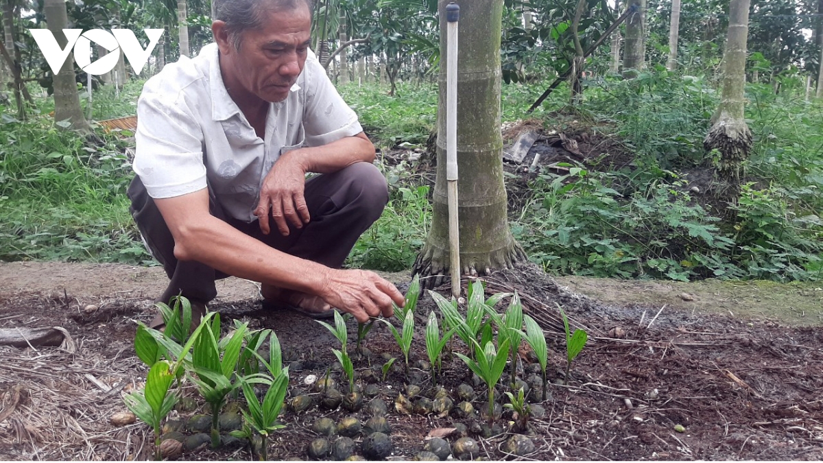 trong cau xuat khau, mo hinh cho thu nhap gan nua ti dong nam hinh anh 2