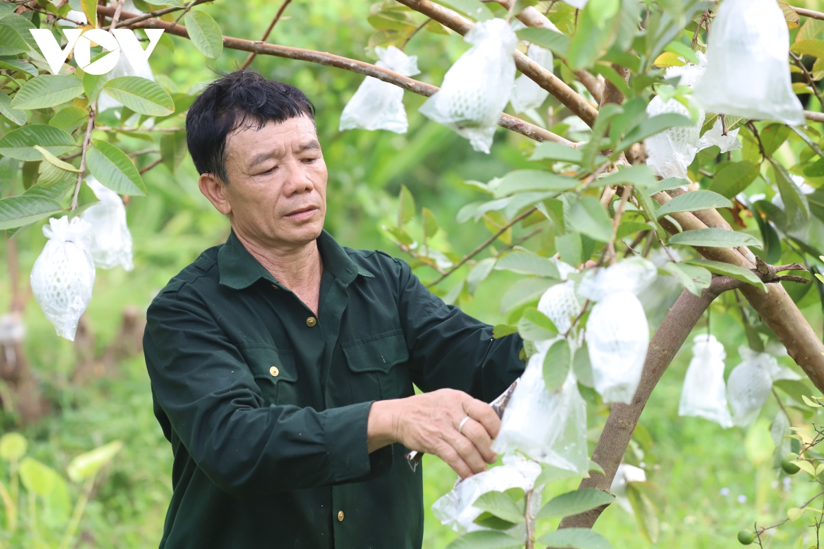 thuong binh vuot kho, chung suc xay dung ban lang hinh anh 4