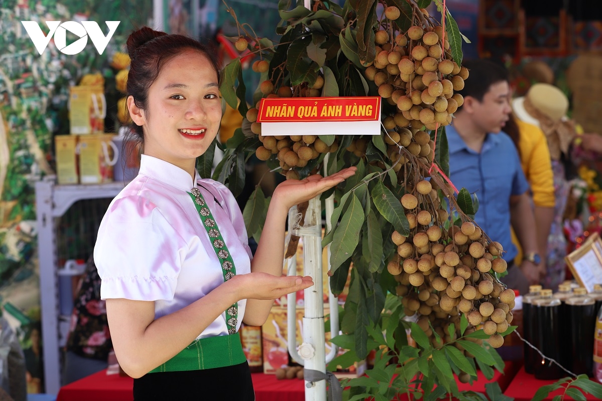 nhan song ma - thuong hieu, uy tin, khat vong vuon xa hinh anh 1