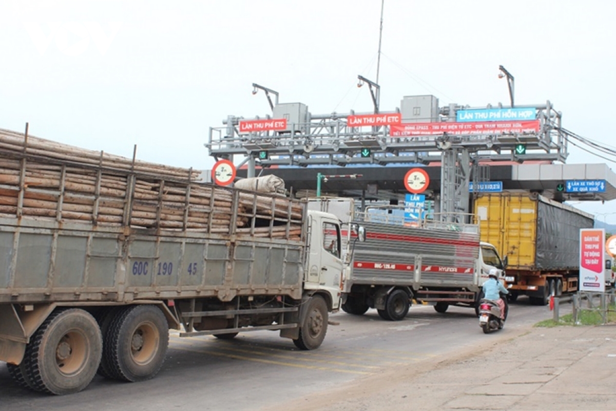 nhieu xe chua dan the dinh danh khi qua lan thu phi tu dong o binh thuan hinh anh 2