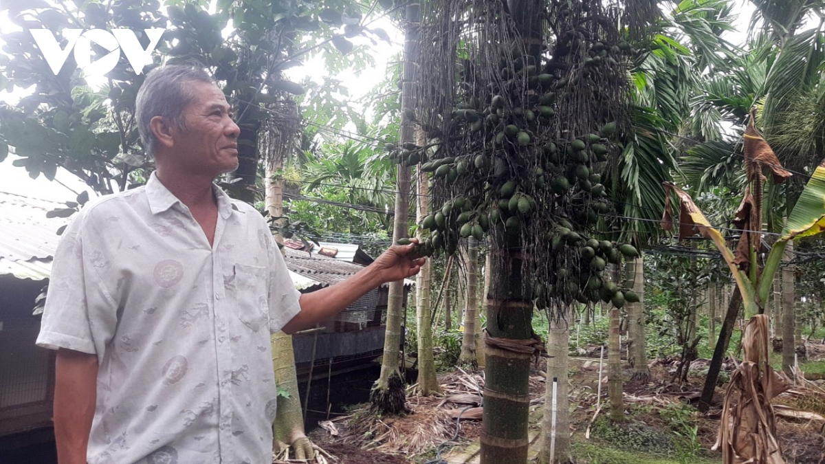 trong cau xuat khau, mo hinh cho thu nhap gan nua ti dong nam hinh anh 1