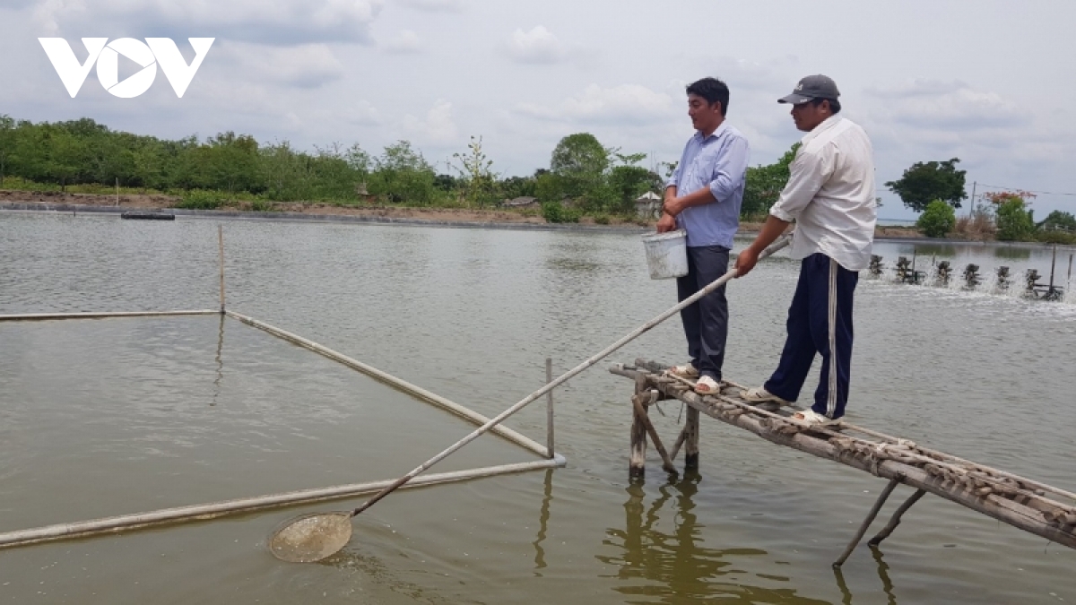 nong thon moi nang cao o huyen dao can gio, tp.hcm hinh anh 3