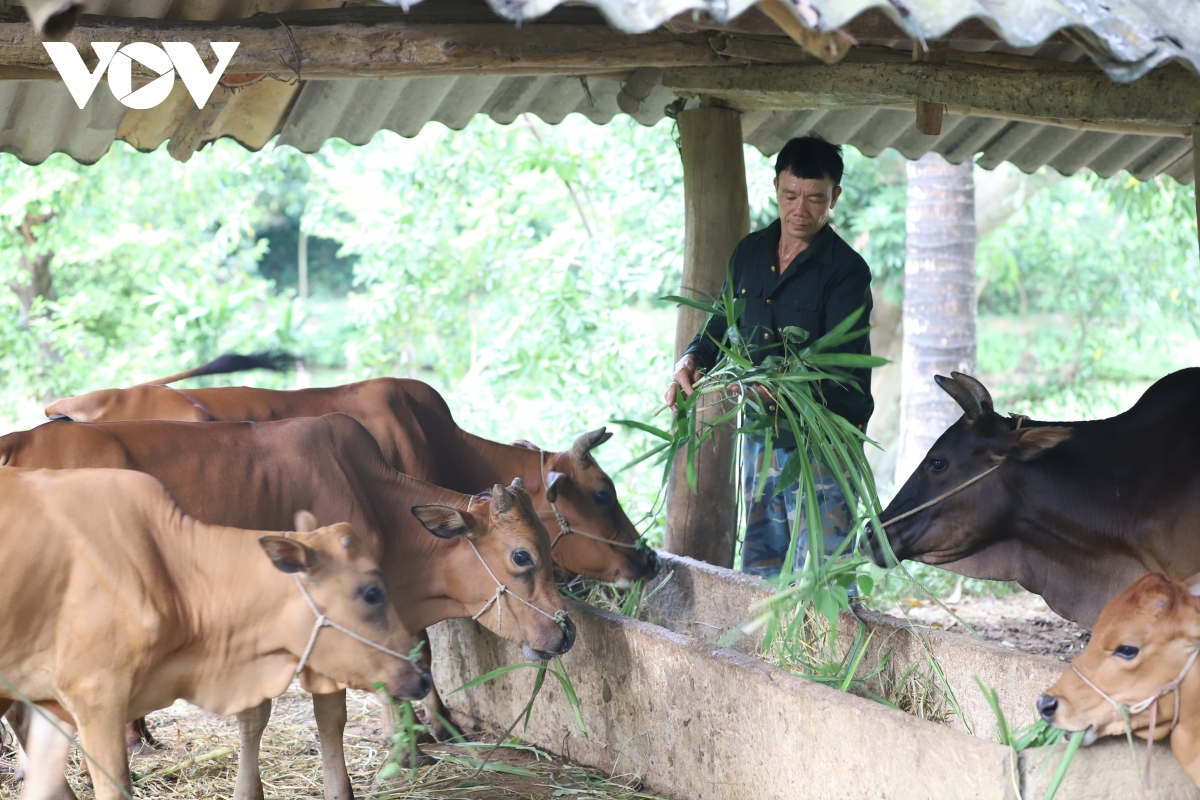 thuong binh vuot kho, chung suc xay dung ban lang hinh anh 2
