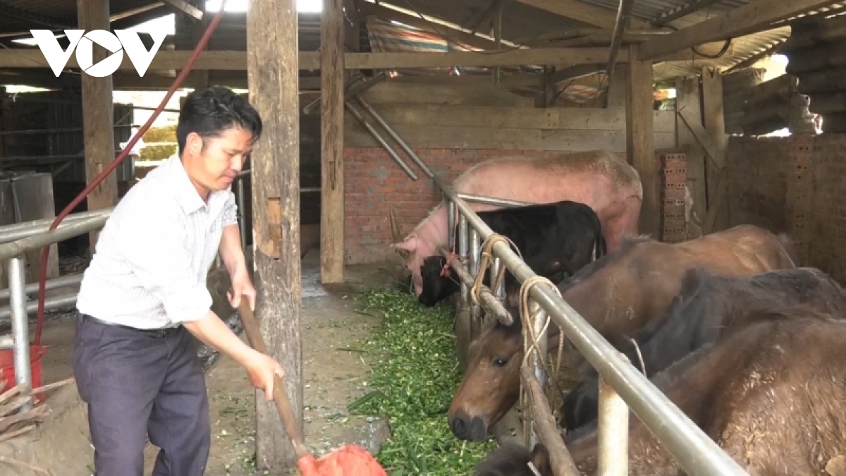 nong dan vung cao lam giau tu chinh manh dat que huong hinh anh 1