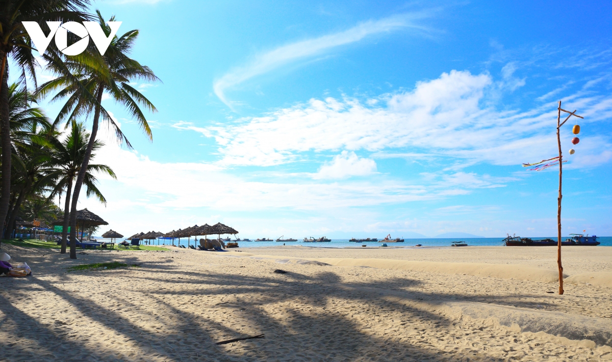 bãi cát trắng dần trở lại với biển cửa Đại, hội an hình ảnh 1 bai cat trang dan tro lai voi bien cua Dai, hoi an hinh anh 1