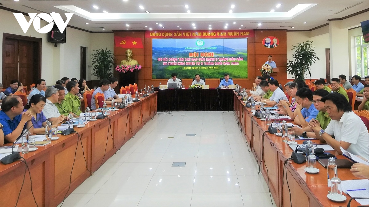 tang cuong su dung nguon go trong nuoc, huong toi gia tri xuat khau 16,3 ty usd hinh anh 1