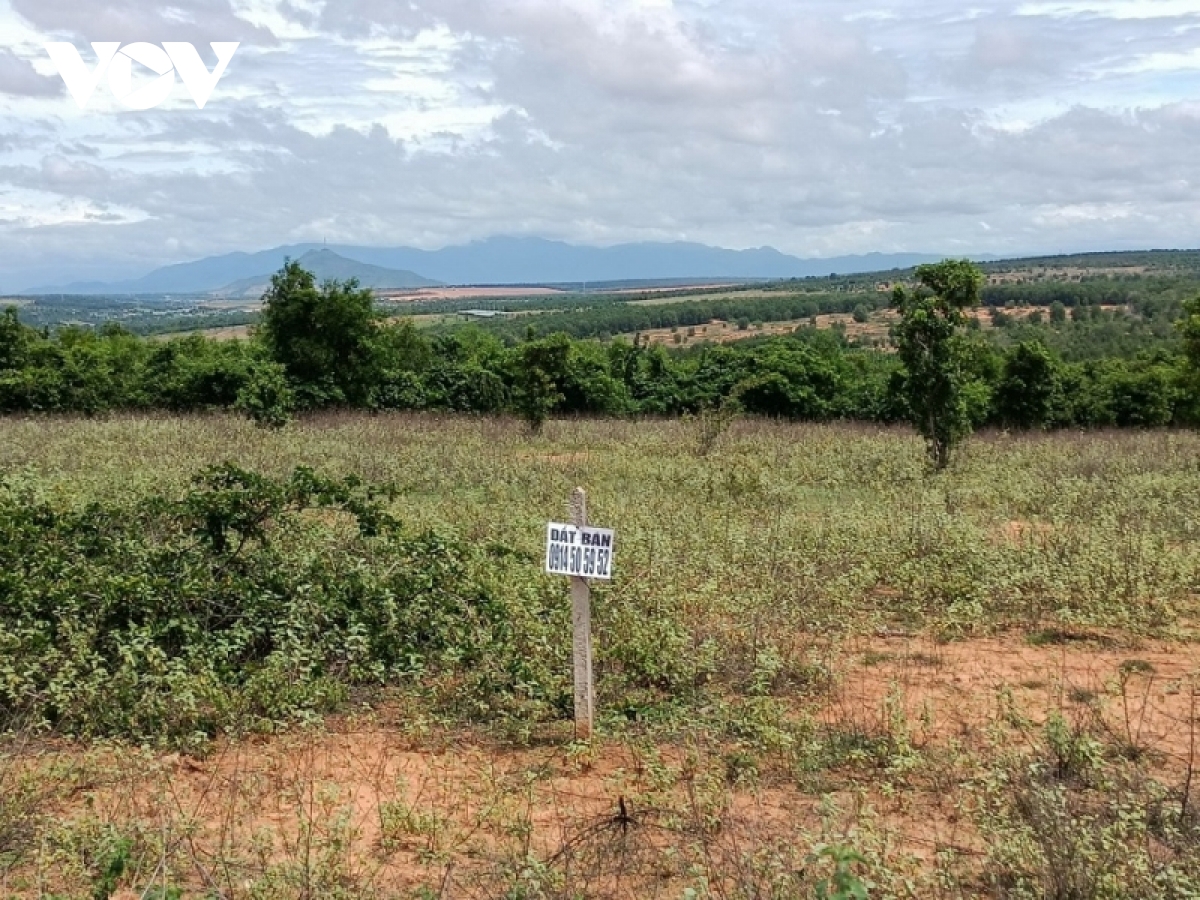 loan tinh trang lan chiem, tranh chap dat dai o binh thuan hinh anh 1