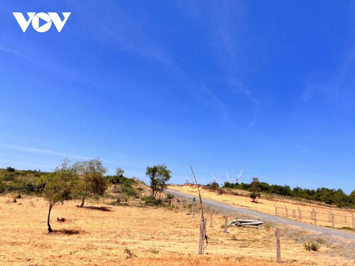 loan tinh trang lan chiem, tranh chap dat dai o binh thuan hinh anh 3