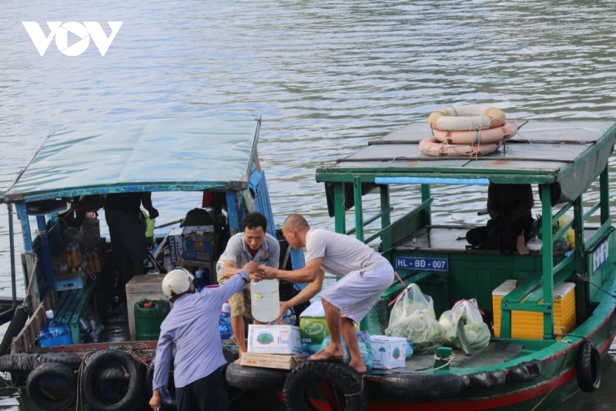 xang dau ha gia, ngu dan quang ninh tiep tuc vuon khoi hinh anh 3