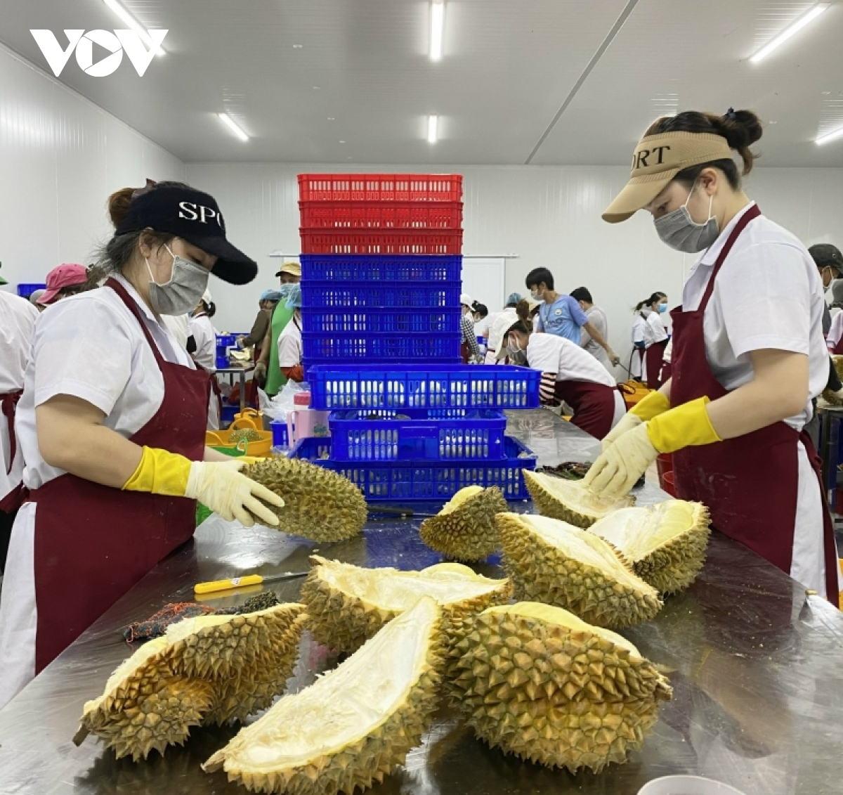 xuat khau nong san nua dau nam 2022 cua Dak lak dat gan 20.000 ty dong hinh anh 2