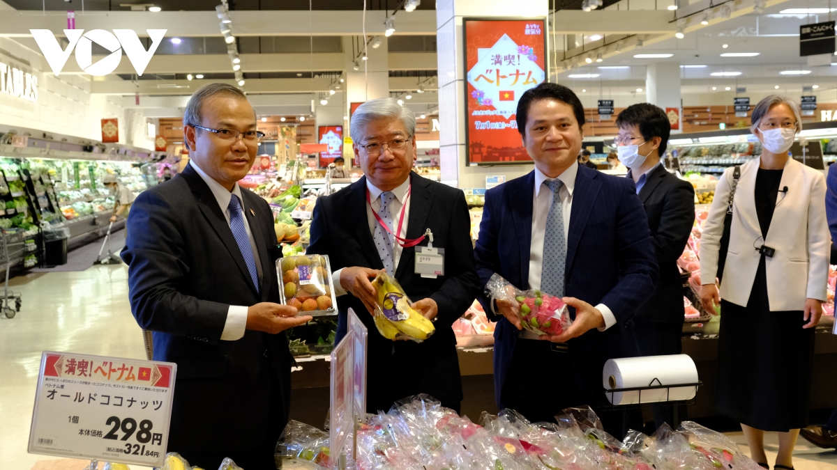 hang hoa viet nam tiep tuc co co hoi khang dinh vi the tai thi truong nhat ban hinh anh 1