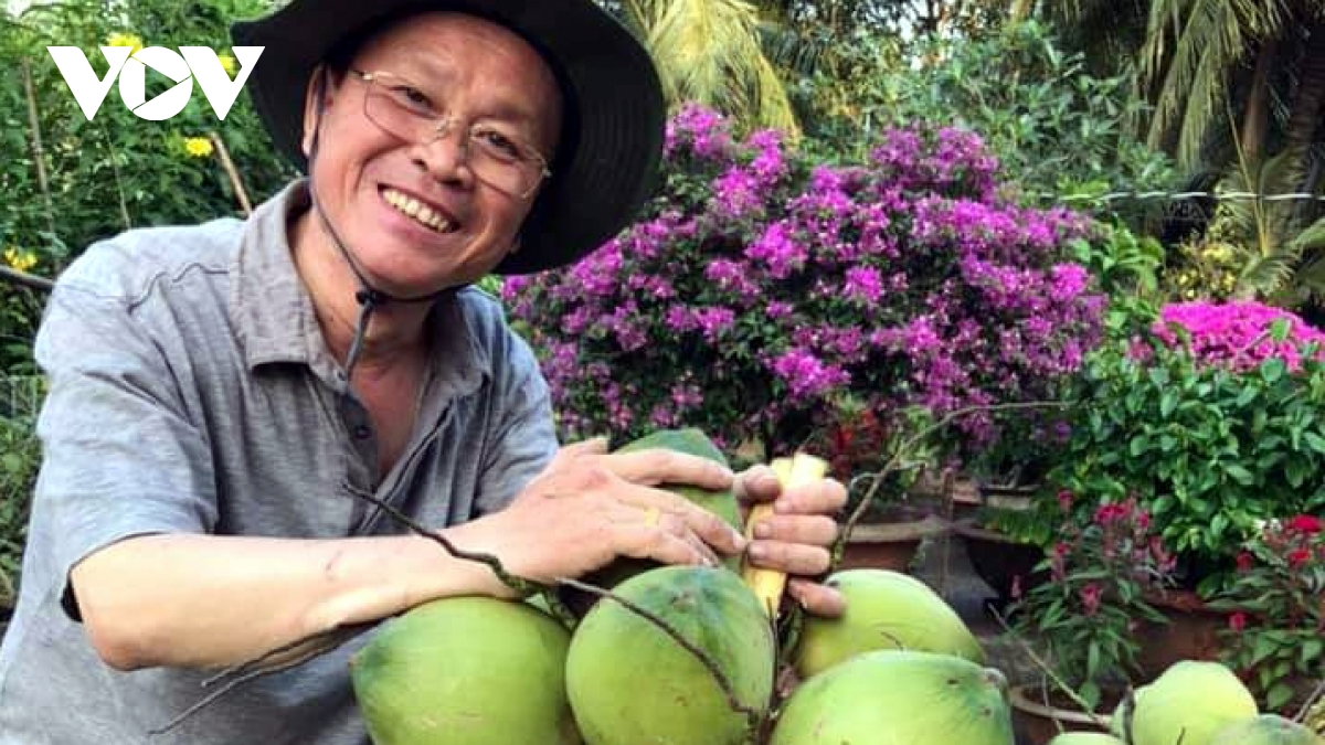 trai dua lay nuoc o Dbscl co gia cao gap nhieu lan dua kho hinh anh 1