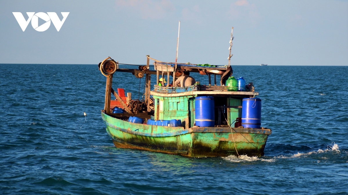gia dau tang cao, nhieu tau ca o ca mau phai nam bo tranh lo hinh anh 2