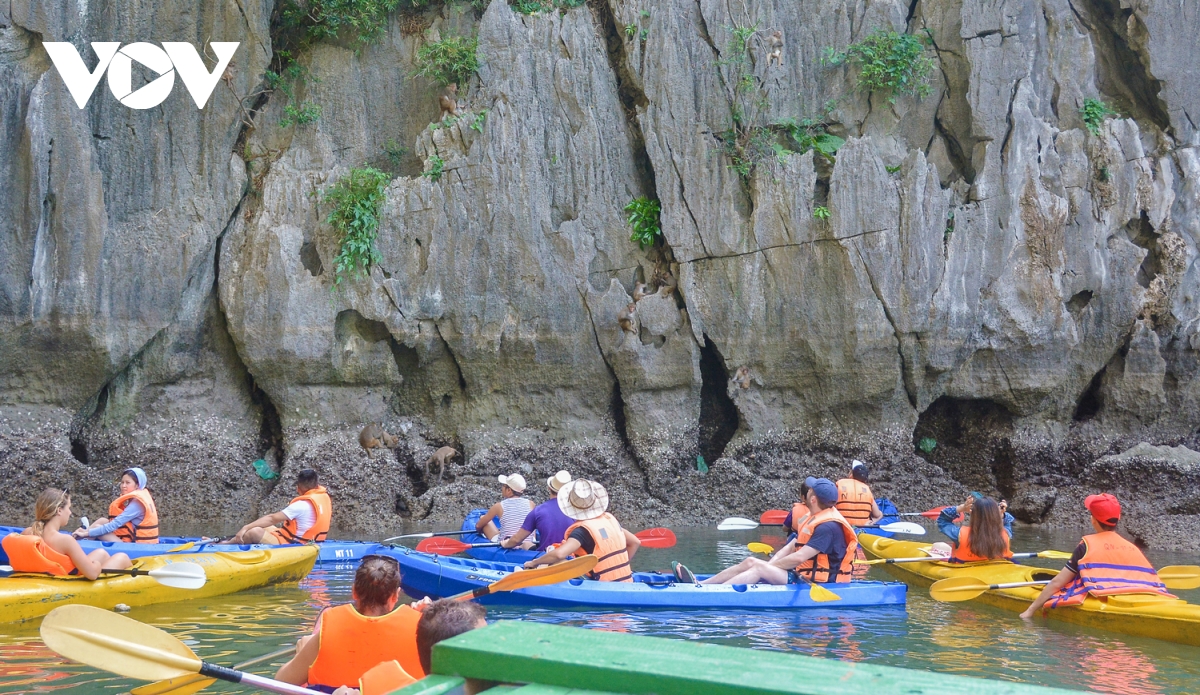 Dieu gi giup vinh ha long hut hang trieu luot khach moi nam hinh anh 10