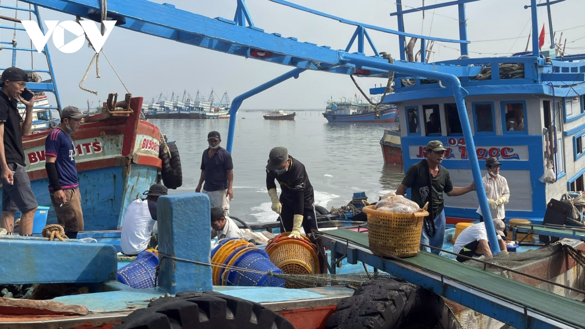 xang dau giam gia, ngu dan van ngai ra khoi hinh anh 1