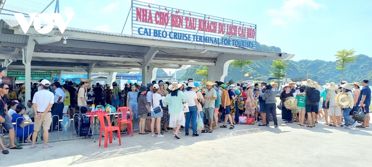 cat ba nhon nhip du lich he hinh anh 2