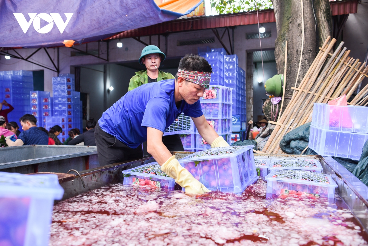 kiem tien trieu moi ngay tai thu phu vai thieu o bac giang hinh anh 8