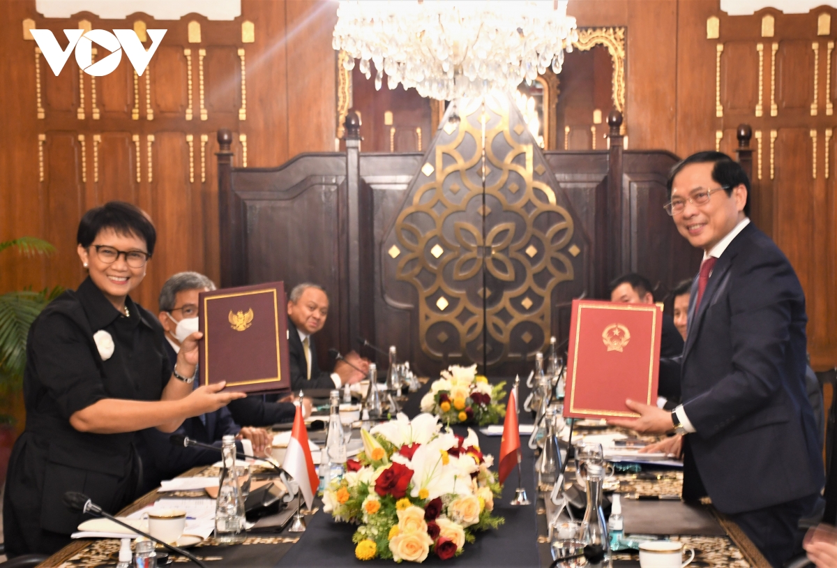 viet nam - indonesia huong den muc tieu trao doi thuong mai dat 15 ty usd hinh anh 4